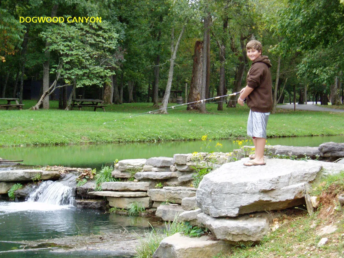 A young boy stands on the rocky shoreline, focused on fishing in a gently flowing stream. Tall trees provide a backdrop of lush greenery, while natural light glimmers off the water's surface. The mood is playful and serene, evoking the joy of outdoor family adventures.