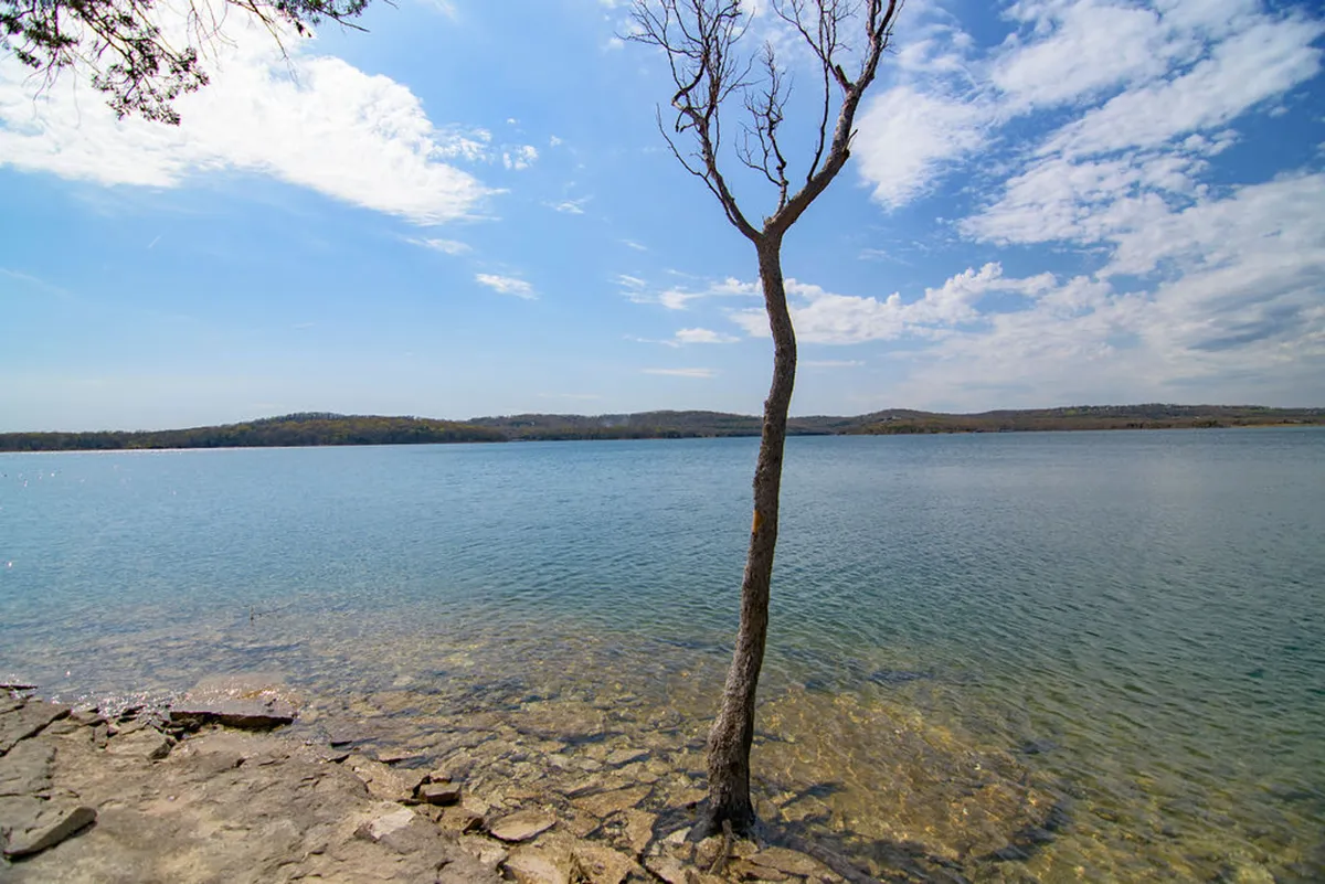 A scenic view of calm water bordered by a lone tree and distant hills, embodying the tranquil and natural environment around Blue Moon Cottage. The scene suggests opportunities for long nature walks and exploration.
